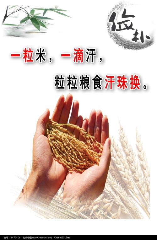 做假贝辛斯托克技术学院文凭毕业证
